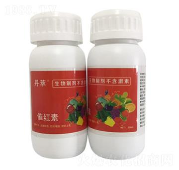 �߼t��-�r(n��ng)����