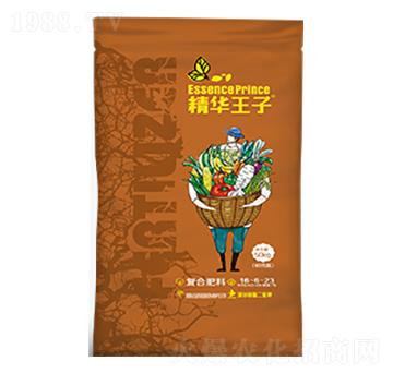 �S����⛏ͺϷ�16-6-23-���A����-���S�ط�