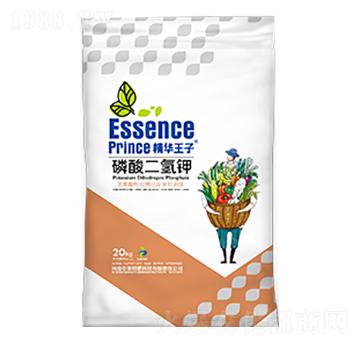 ��������-���A����-���S�ط�