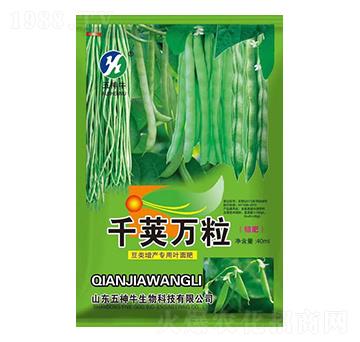 ������~���-ǧ�v�f��-����ţ