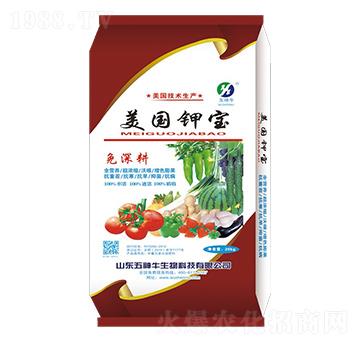 ����⛌�-����ţ