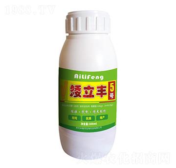 �����S5̖-��ֲ�S