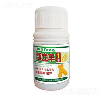 �����S1̖-��ֲ�S