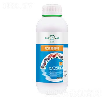 �W�m�Ǵ��}-�W�m��