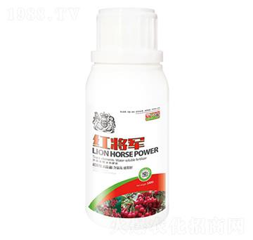 �t��܊-�{�R�ʘI(y��)