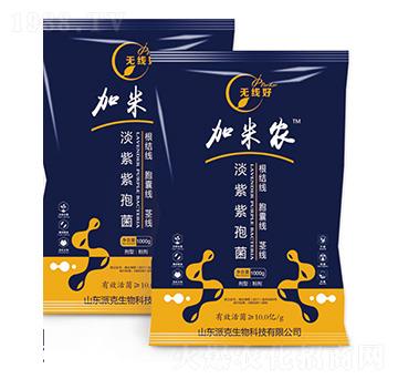 �������߾�-�o����-�����r(n��ng)