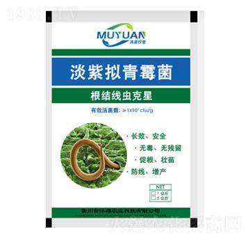 ���ϔM��ù-��Դ�r(n��ng)�I(y��)