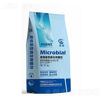 ��ֲ����΢�������-�t��-���Ѓ�(y��u)�x