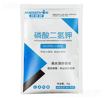 ��������-����������