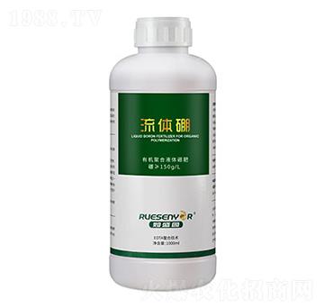 ���w��-����������