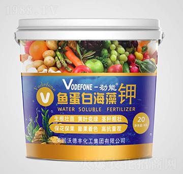 �~���׺����-����-�\������