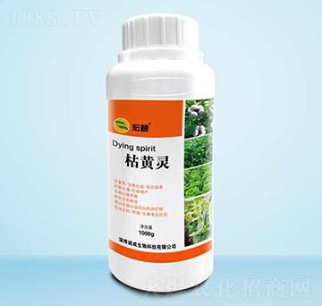 ���S�`-���-�\������