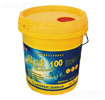 ����100-�и�����