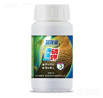 促花豐果型海藻磷鉀-藍(lán)能量