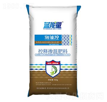 �w��������⛡������Ϳ�