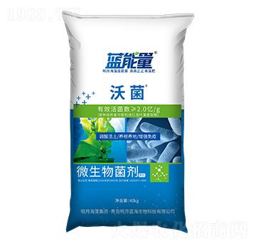 ΢����������w����-��