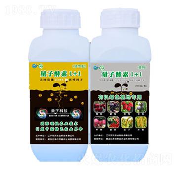 ���ӽ���1+1-�p���r(n��ng)�I(y��)