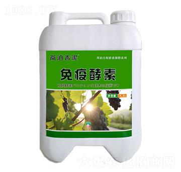 ���߽���-�p���r�I(y��)