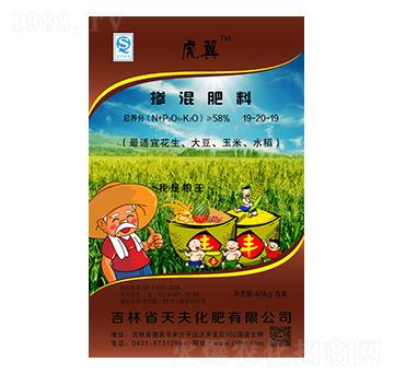 �������19-20-19-���