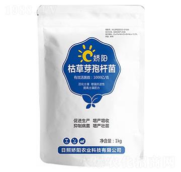 �ݲ�ѿ�ߗU��-���S����