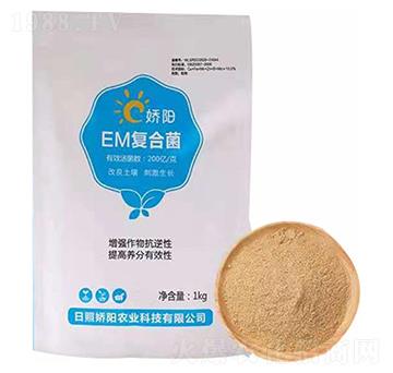 EM��(f��)�Ͼ�-���S����