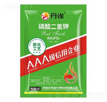 ��������-��ȸ