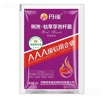 ��(c��)�ߡ��ݲ�ѿ�ߗU��-��ȸ