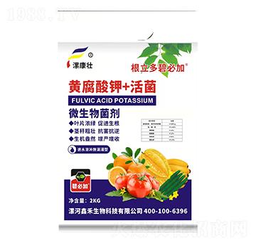 �S�����+���-΢�������-�𿵉�