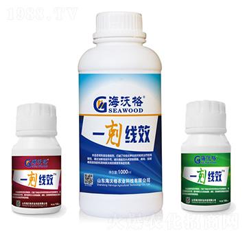 һ�w��(xi��n)Ч-���ָ�