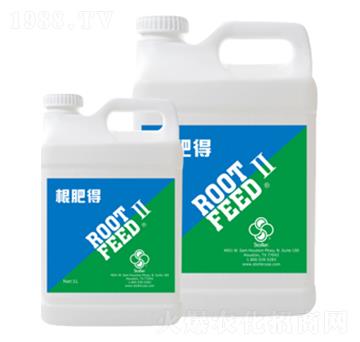 ���ʵ�-������