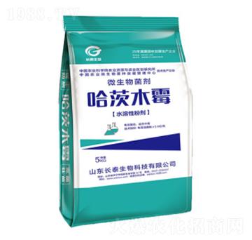 ˮ���Թ���ľù-�L̩����