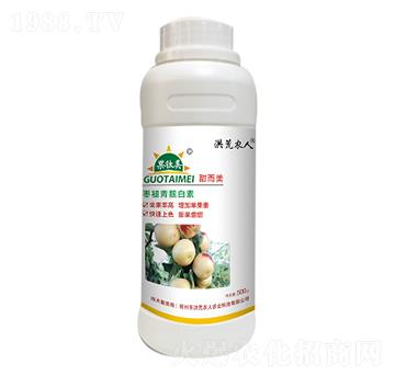 �������n����-�����-����r(n��ng)��