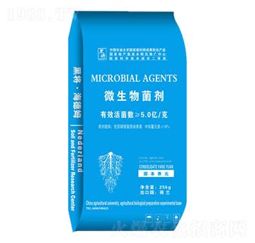 25kg΢�������-��������