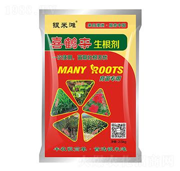 ϲ�Q��(l��i)������-�y�מ�����