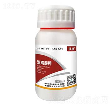 �������-����