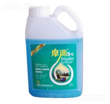 Ħ��5̖-ħ��Һ��