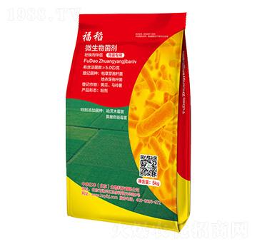 ����΢�������-ϣ���R����