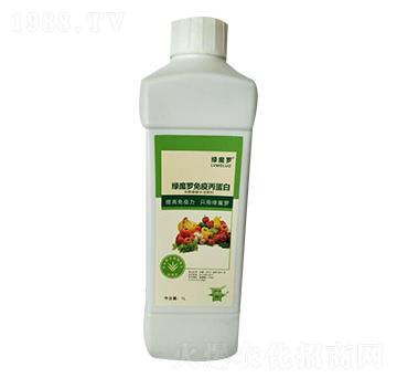 ���߱�����-�Għ�_