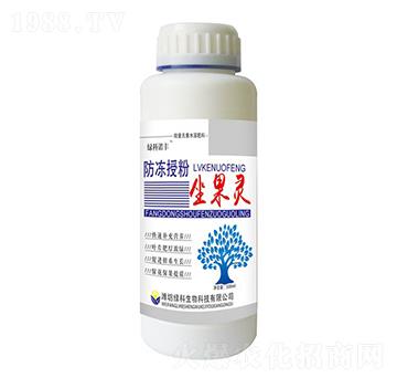 �����ڷ������`-�G���Z�S-�G������