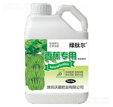 �㽶�����S�����-���ǷʘI(y��)