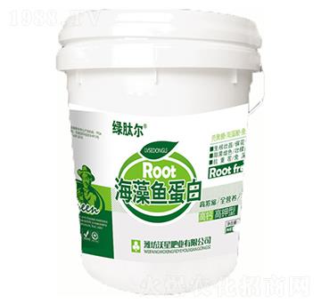 �����~����-���ǷʘI(y��)