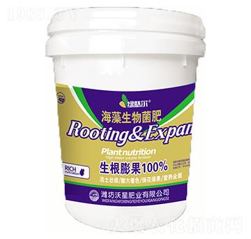 �����������-���ǷʘI(y��)