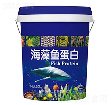 �����~(y��)����-�ﲩʿ