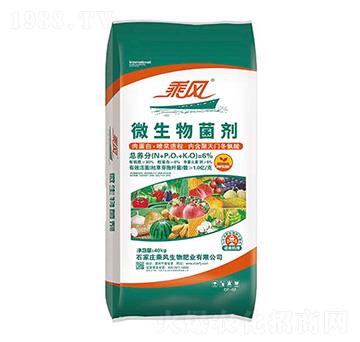 ΢�������-���L����