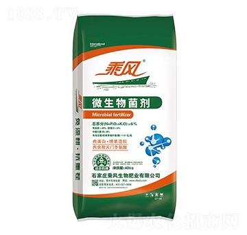 40kg΢�������-���L����