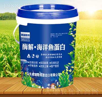 ø�⡤�����~����-����˹��