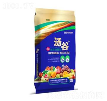 40kg΢�������-��������