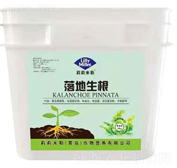 �������-��������