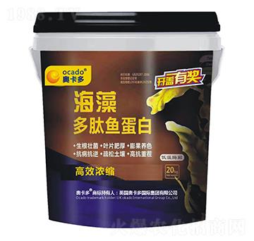 ��������~����-�W����