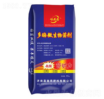 40kg��ø΢�������-�����A-��ʩ��